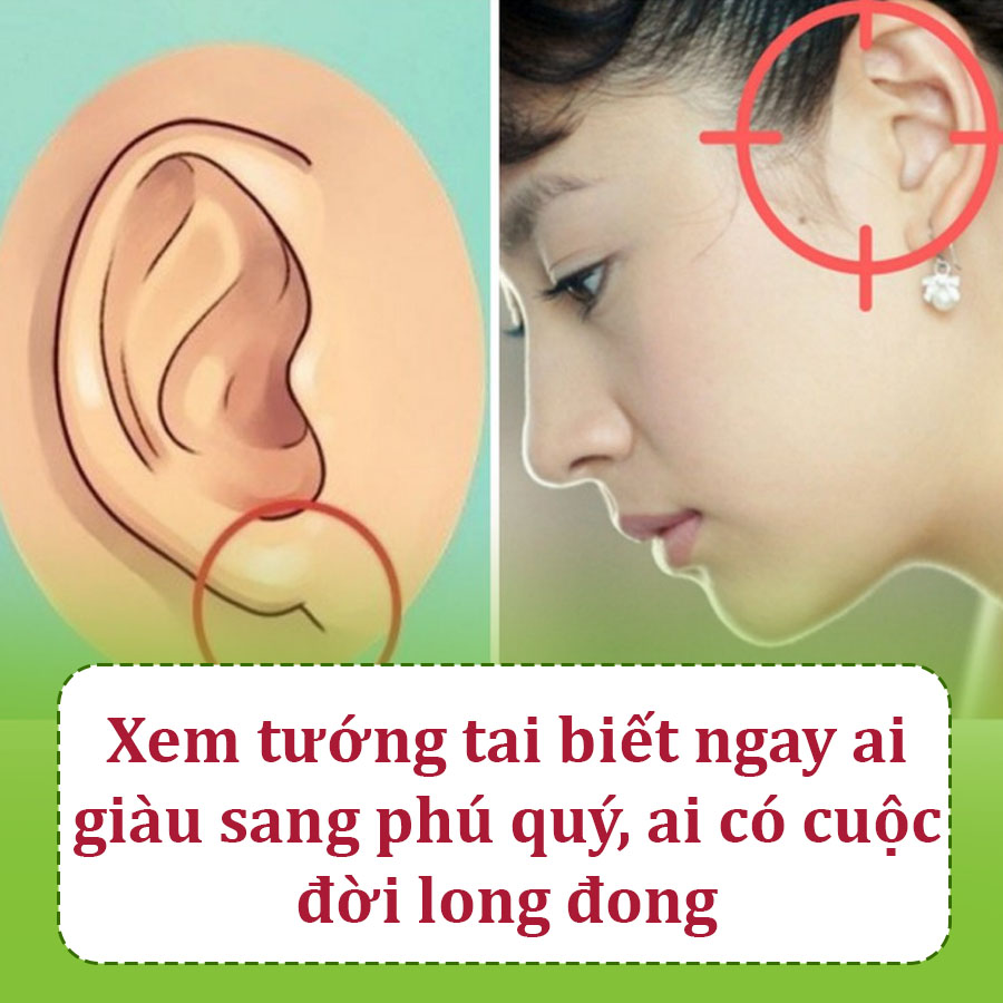 Xem tướng tai biết ngay ai giàu sang phú quý, ai có cuộc đời long đong