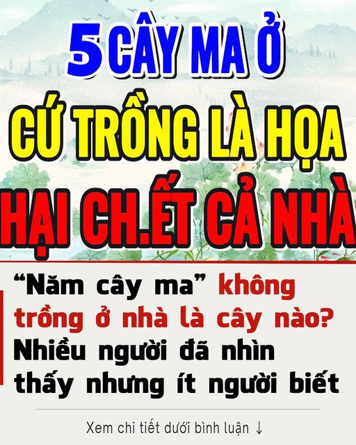 Năm cây ma” không trồng ở nhà là năm loại cây nào? Ngoài đời nhiều người đã nhìn thấy nhưng ít người biết