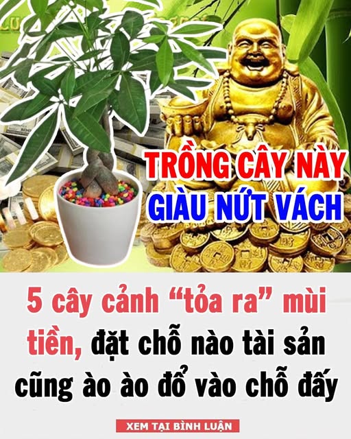 5 cây cảnh “tỏa ra” mùi tiền, đặt chỗ nào tài sản cũng ào ào đổ vào chỗ đấy