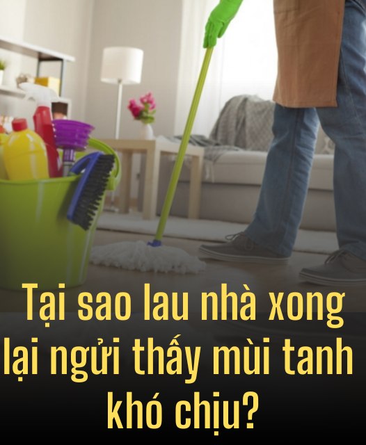 Tại sao lau nhà xong lại ngửi thấy mùi tanh khó chịu? Cách khắc phục mùi tanh sau khi lau nhà