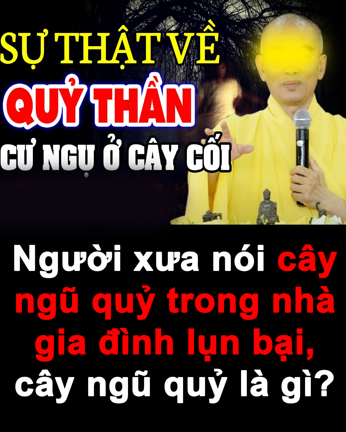 Người xưa nói cây ngũ quỷ trong nhà gia đình lụn bại, cây ngũ quỷ là gì?