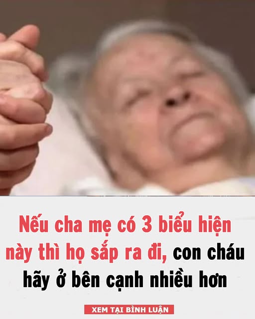 Nếu cha mẹ có 3 biểu hiện này thì họ sắp ra đi, con cháu hãy ở bên cạnh nhiều hơn 👇👇👇