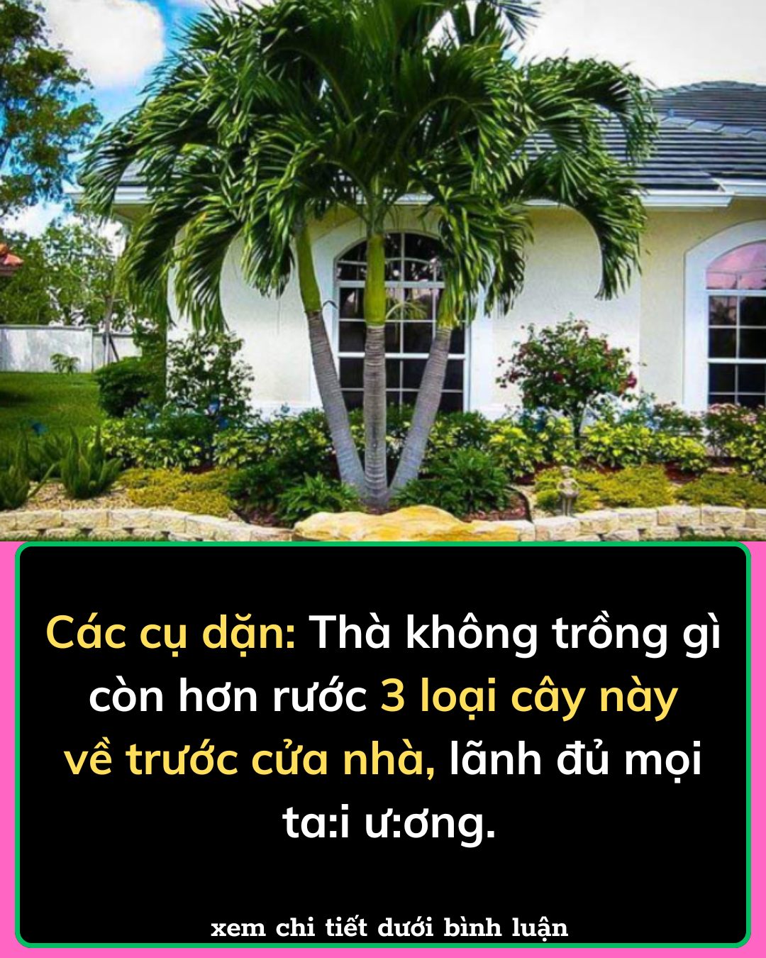 Các cụ dặn: Thà không trồng gì còn hơn rước 3 loại cây này về trước cửa nhà, lãnh đủ mọi ta:i ư:ơng.