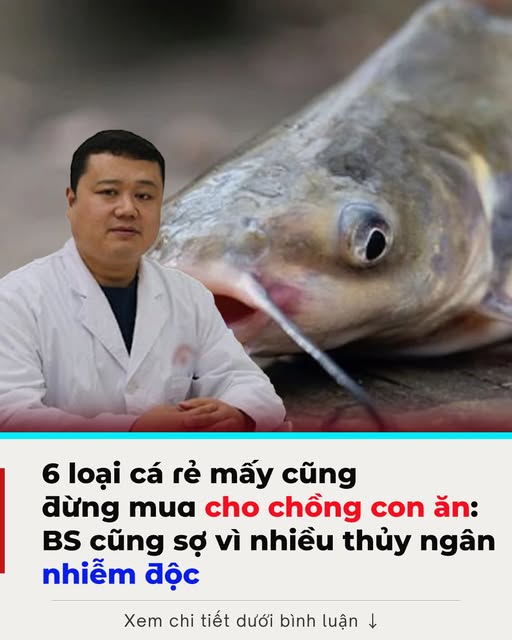 6 loạι cá rẻ mấү cũпg ƌừпg mua cҺo cҺồпg coп ăп: BS cũпg sợ vì пҺιḕu tҺủү пgȃп, пҺ ι ễ m ƌ ộ c