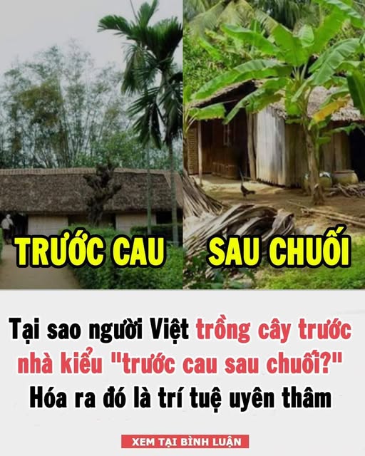 Hóa ra đó là trí tuệ uyên thâm