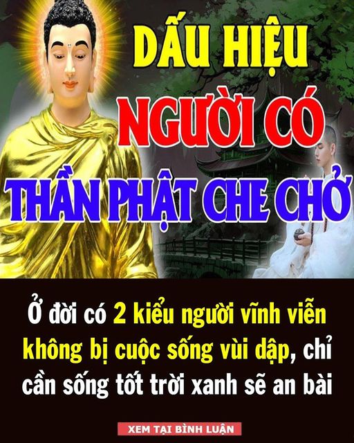 Ở đời có 2 kiểu người vĩnh viễn không bị cuộc sống vùi dập, chỉ cần sống tốt trời xanh sẽ an bài